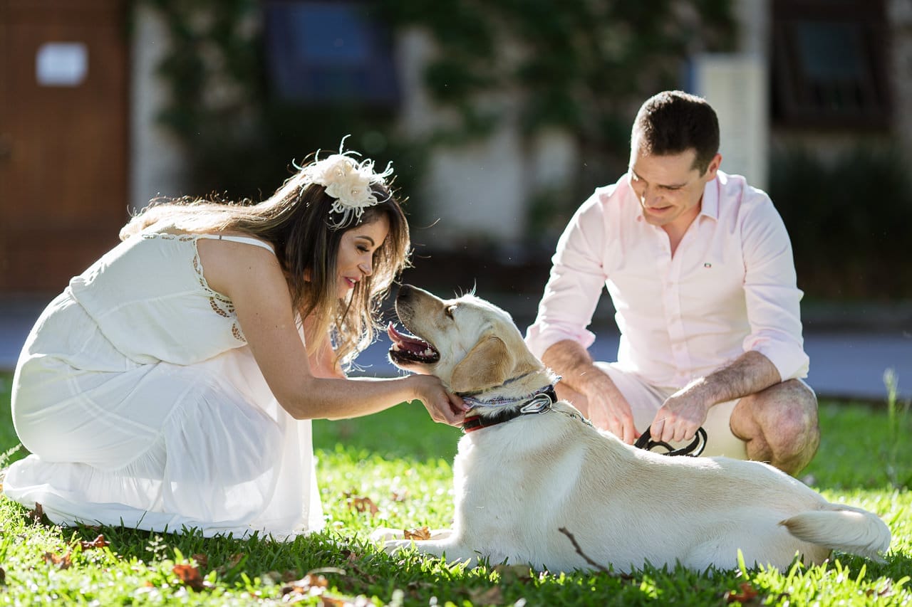 Casal de noivos com seu cachorro labrador de estimação