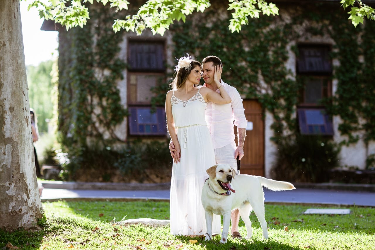 Casal de noivos com seu cachorro labrador de estimação